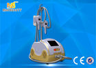 中国 Cryo Fat Dissolved Weight Loss Coolsculpting Cryolipolysis Machine 工場